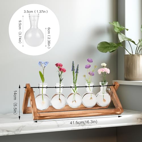 Tigvio Retro Wood Stand Plant Terrarium with 5 Air Planter Bulb Glass Vases, Metal Swivel Holder, for Home Office Wedding Decor. Great Desktop Propagation Station and Plant Lover Gift for Women