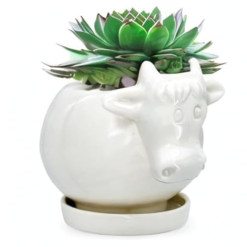 GeLive White Cow Ceramic Planter Small Succulent Pot Cute Cartoon Animal Plant Pot with Drainage Tray Pencil Holder Brush Organizer Tabletop Storage Stand Indoor Home Decor Cow Statue Fun Stuff