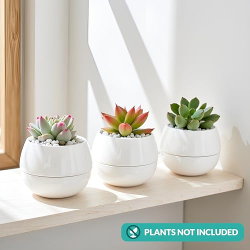 Willowy 3.5 Inch Small Succulent Pots - 3pk, Mini Succulent Pots, Ceramic Succulent Pots, Mini Ceramic Pots, White Succulent Pots, Small White Pots for Plants