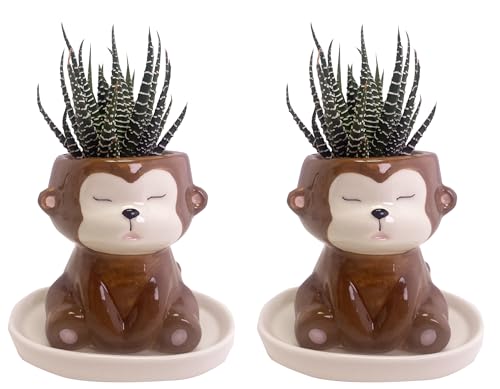 SWONVI Cute Animal Ceramics Planter Small Succulent Pot Cartoon Shaped Plant Pot for Mini Plants Flower Cactus, Smooth Shiny Ceramic - Plants Not Included (2 pcs Monkey)