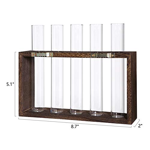 Mkono Wall Hanging Glass Planter Plant Terrarium Modern Flower Bud Vase in Wood Stand Rack Tabletop Terrarium for Propagating Hydroponic Plants, Home Office Decoration with 5 Test Tube, Medium, Brown