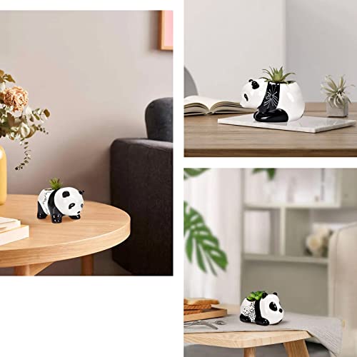 AASHDP Cute Animal Succulent Pots Bulk, Small Animal Succulent Planters for Indoor Plants, Mini Panda Flower Ceramic Pots Set of 3