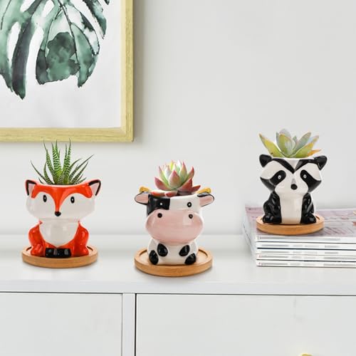 Pumtus 6 Pack Small Succulent Pots with Drainage Hole, 3 Inch Cute Ceramic Animal Planter with Saucer, Unique Air Plant Holder, Desktop Plant Flower Pot for Indoor Plants, Cactus, Garden, Home Decor