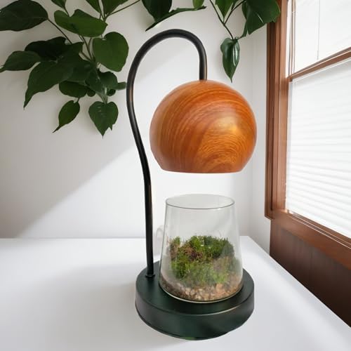 Tiny Plant Terrarium Modern Style Wood Grain DIY Kit Terrarium with Light for Succulent, Moss, Ferns Household Plant Tabletop Decoration Gardening Landscape Desk Lamp for Gardening Starter, Adults