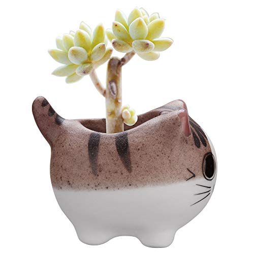 Bluecell Mini Ceramic Cute Animal Shaped Cartoon Home Decoration Vase Flower Pots Cat Shape Planter for Succulent Plant/Cactus Flower (Adorkable)