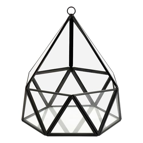 ElegantLife Glass Geometric Terrarium,Succulent & Air Plant(No Plant Included) (Black)