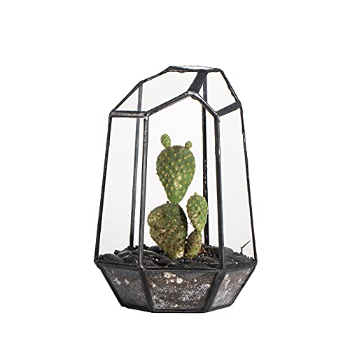 NCYP Small Irregular Geometric Terrarium - 4.1" x 3.5" x 5.9" - Miniature Glass Terrarium Planter for Succulent Air Plants - Tabletop Garden Display Container, Black (No Plants)