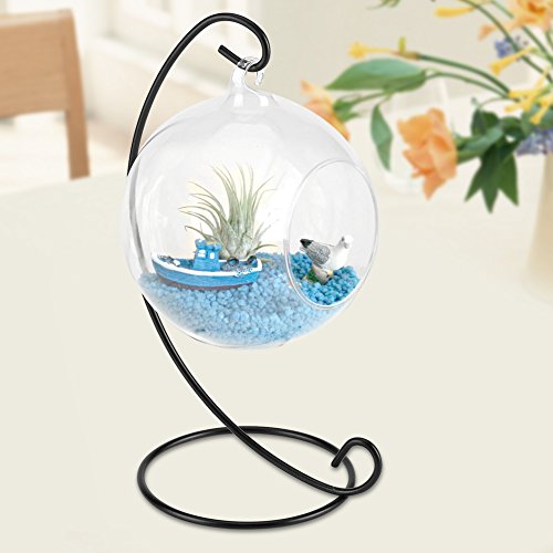 Clear Glass Vase Hanging Large Plant Terrarium with Black Metal Stand for Air Plants Succulent