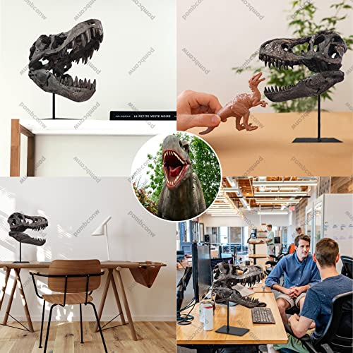 pombconw T Rex Skull, Dinosaur Statue Resin Replica Head Sculptures, Home Office Decorations on Shelf Table Desk Bookshelf, Birthday Party Gift for Kids and Adults,11.8 inch