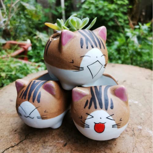 Bufanli Mini Cute Cat Cartoon Ceramic Succulent Pots Planters with Drainage Hole for Small Plants Animal Lovers Home and Office Desk Decoration Set of 5