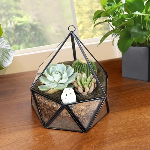 ElegantLife Glass Geometric Terrarium,Succulent & Air Plant(No Plant Included) (Black)