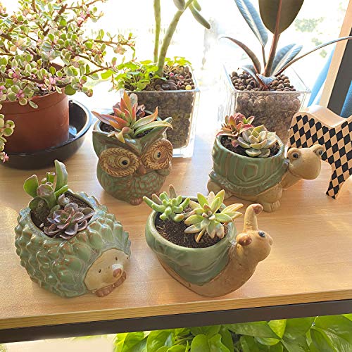 SUNSMIL Small Ceramic Succulent Pot with Drainage, Animal Succulent Planter, 4.4 Inch Flower Pots, for Flower, Cactus, Mini Succulent Plants, Indoor and Outdoor use, Set of 4 Garden Gift