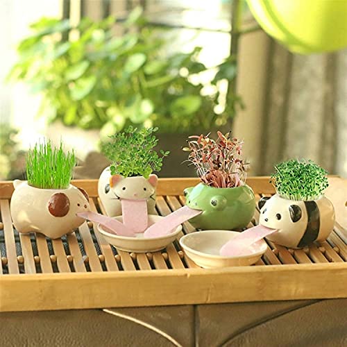 VERLIAN Mini Self Watering Succulent Pots, 1 Pack Animal Ceramic Plant Pot Container with Tongue & Drain Hole, Creative Small Cactus Flower Pot (Cat)