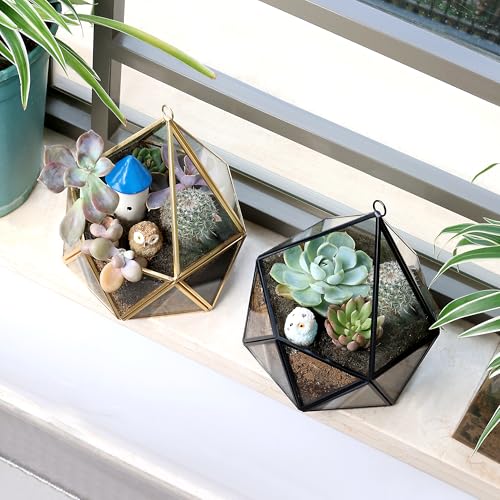 ElegantLife Glass Geometric Terrarium,Succulent & Air Plant(No Plant Included) (Black)