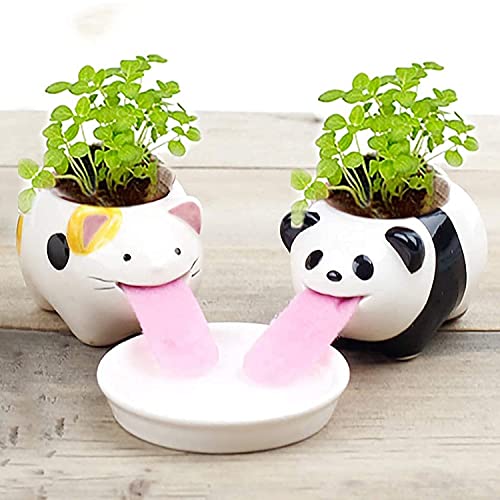 VERLIAN Mini Self Watering Succulent Pots, 1 Pack Animal Ceramic Plant Pot Container with Tongue & Drain Hole, Creative Small Cactus Flower Pot (Cat)