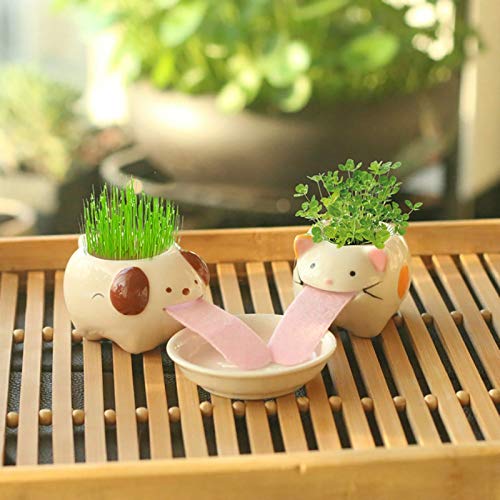 BLOSSOMLIFE Automatic Self Watering Animal Planter Creative Animal Tongue Cultivation DIY Mini Ceramic Plant Pots Desktop Decor (Cat) (Mini Ceramic Pot-01)