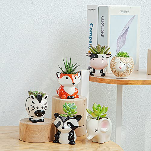 DIYOMR Cute Animal Ceramics Planter Small Succulent Pot Cartoon Shaped Plant Pot for Mini Plants Flower Cactus, Smooth Shiny Ceramic - Plants Not Included (Cow)