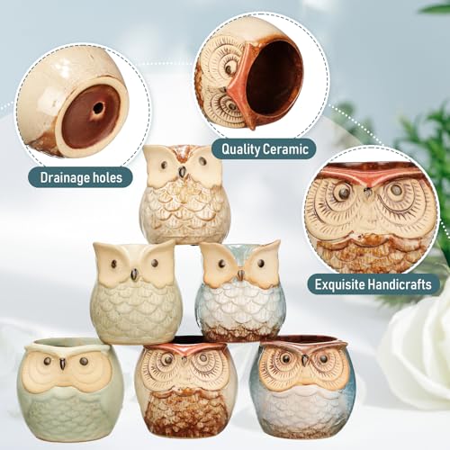 Nitial 24 Pack Owl Succulent Plant Pots Mini Owl Pot with Drainage Hole Cute Planters Small Ceramic Pots for Plants, Plants Not Included, Home Office Desk Garden Gift Ideas (Cute,2 Sizes)