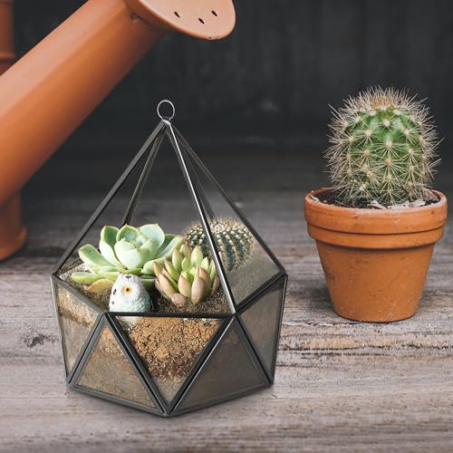 ElegantLife Glass Geometric Terrarium,Succulent & Air Plant(No Plant Included) (Black)