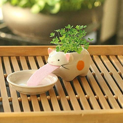 BLOSSOMLIFE Automatic Self Watering Animal Planter Creative Animal Tongue Cultivation DIY Mini Ceramic Plant Pots Desktop Decor (Cat) (Mini Ceramic Pot-01)