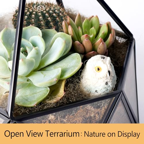 ElegantLife Glass Geometric Terrarium,Succulent & Air Plant(No Plant Included) (Black)