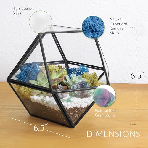 7” DIY Succulent Terrarium Kit with Live Plants, Decorative Rocks, Moss & Healing Crystals, Figurine, Terrarium Tools, Geometric Glass Terrarium Decor