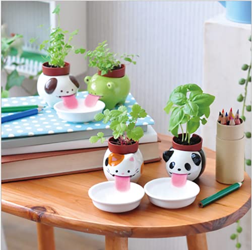 VERLIAN Mini Self Watering Succulent Pots, 1 Pack Animal Ceramic Plant Pot Container with Tongue & Drain Hole, Creative Small Cactus Flower Pot (Cat)