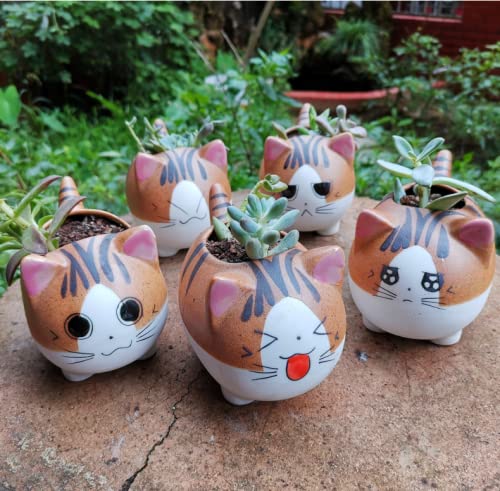 Bufanli Mini Cute Cat Cartoon Ceramic Succulent Pots Planters with Drainage Hole for Small Plants Animal Lovers Home and Office Desk Decoration Set of 5