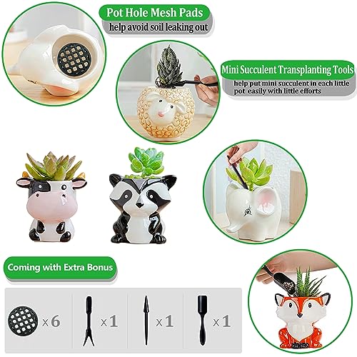 Melphoe 6 Pcs Air Plant Holders Cartoon Shaped Small Succulent Pot Animal Planter Small Ceramic Plant Pot Drainage for Mini Plant Cactus Flower, Tillandsia Air Fern, Display Stand Home, Office Desktop