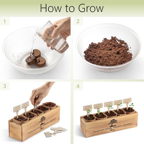 AVERGO Bonsai Tree Kit – 5X Unique Japanese Bonzai Trees | Complete Indoor Starter Kit for Growing Plants with Bonsai Seeds, Tools & Planters – Gardening Gifts for Women & Men