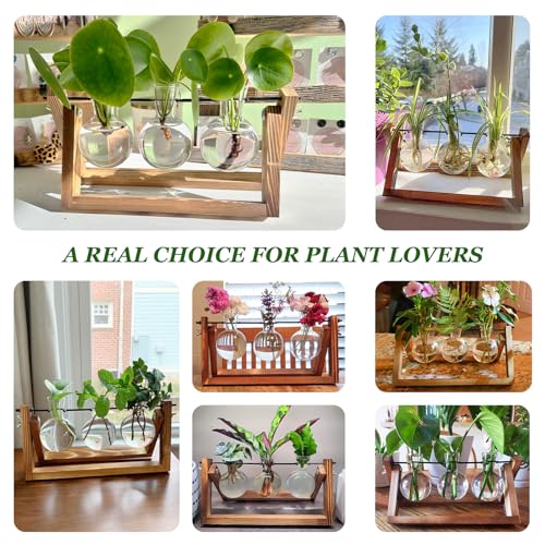 Renmxj Plant Propagation Station, Plant Terrarium with Wooden Stand, Unique Gardening Birthday Gifts for Women Plant Lovers, Home Office Garden Decor Planter - 3 Bulb Glass Vases