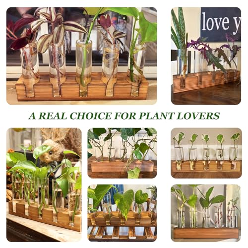 Renmxj Plant Propagation Station, Plant Terrarium with Wooden Stand, Plant Pots for Hydroponics, Small Birthday Gardening Gifts for Women Mom Plant Lovers Unique - 5 Glass Test Tubes Vases