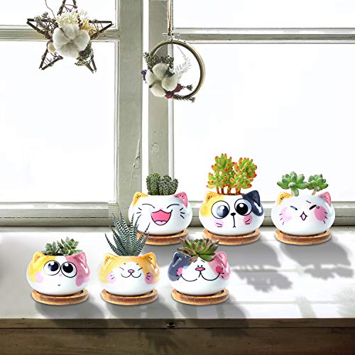 YINUOWEI Succulent Pots with Drainage 3.6 Inch Mini Cat Pots for Plants Tiny Animal Planter Small Ceramic Air Plant Flower Pots Cactus Faux Planters Containers with Bamboo Tray