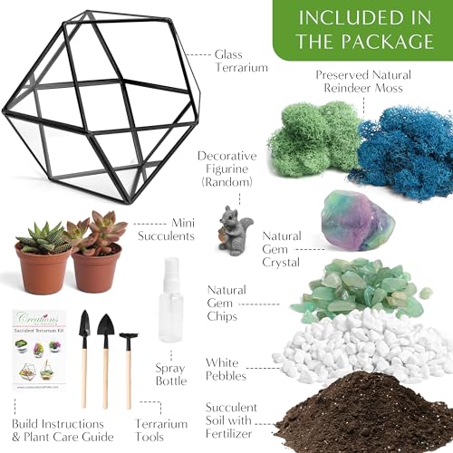 7” DIY Succulent Terrarium Kit with Live Plants, Decorative Rocks, Moss & Healing Crystals, Figurine, Terrarium Tools, Geometric Glass Terrarium Decor