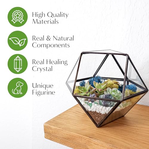 7” DIY Succulent Terrarium Kit with Live Plants, Decorative Rocks, Moss & Healing Crystals, Figurine, Terrarium Tools, Geometric Glass Terrarium Decor