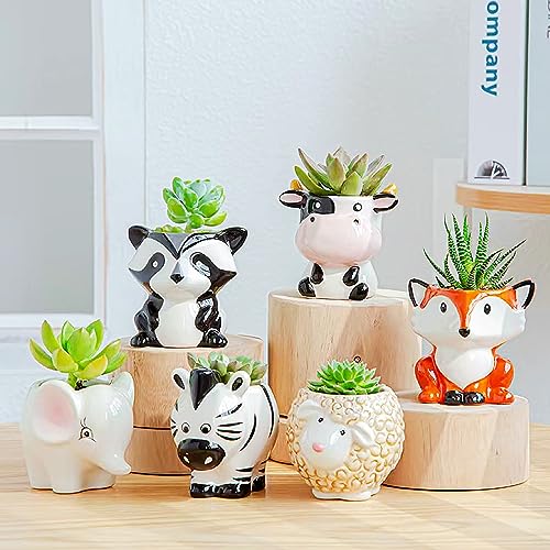 Melphoe 6 Pcs Air Plant Holders Cartoon Shaped Small Succulent Pot Animal Planter Small Ceramic Plant Pot Drainage for Mini Plant Cactus Flower, Tillandsia Air Fern, Display Stand Home, Office Desktop