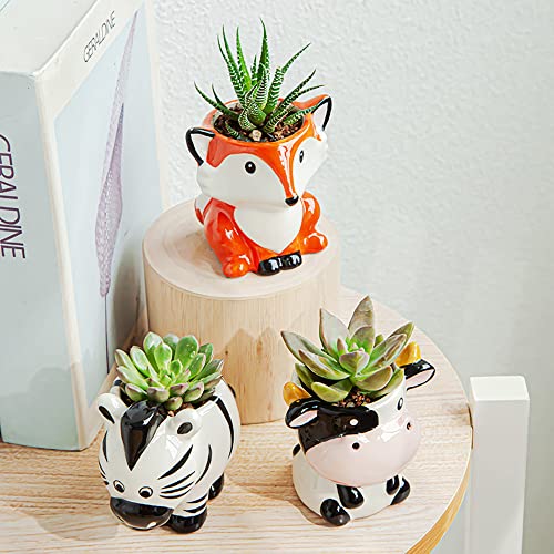 DIYOMR Cute Animal Ceramics Planter Small Succulent Pot Cartoon Shaped Plant Pot for Mini Plants Flower Cactus, Smooth Shiny Ceramic - Plants Not Included (Cow)