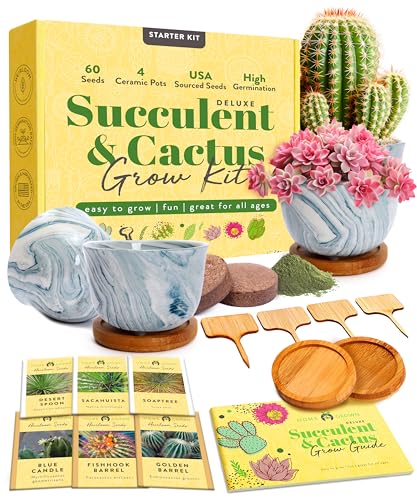 Bonsai Tree Kit - Gifts for Men & Women (Cactus Ceramic Kit)