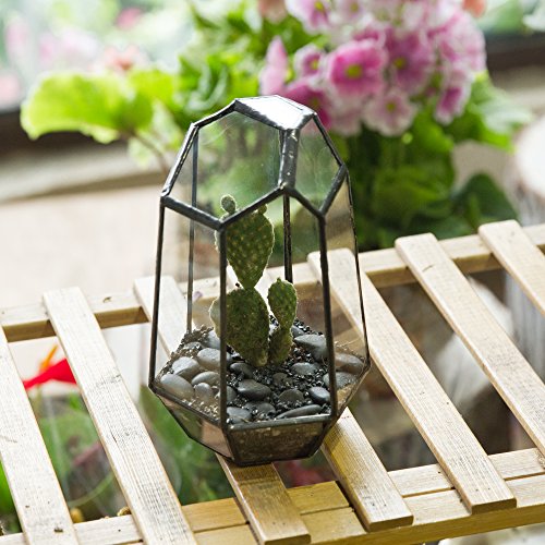 NCYP Small Irregular Geometric Terrarium - 4.1" x 3.5" x 5.9" - Miniature Glass Terrarium Planter for Succulent Air Plants - Tabletop Garden Display Container, Black (No Plants)