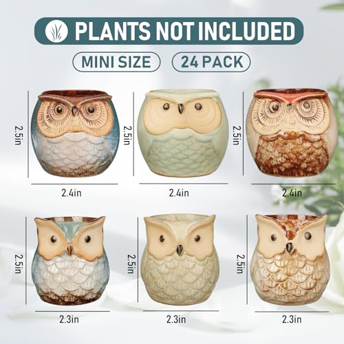 Nitial 24 Pack Owl Succulent Plant Pots Mini Owl Pot with Drainage Hole Cute Planters Small Ceramic Pots for Plants, Plants Not Included, Home Office Desk Garden Gift Ideas (Cute,2 Sizes)