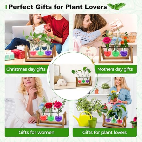 Plant Propagation Station with Wooden Stand,Plant Decor Birthday Gifts for Women,Christmas Planter Gifts for Plant Lovers,Plant Terrarium for Home Office Christmas Decor,Window Sill Decor-3 Bulb Vases