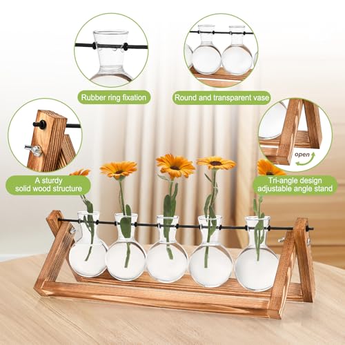 Tigvio Retro Wood Stand Plant Terrarium with 5 Air Planter Bulb Glass Vases, Metal Swivel Holder, for Home Office Wedding Decor. Great Desktop Propagation Station and Plant Lover Gift for Women