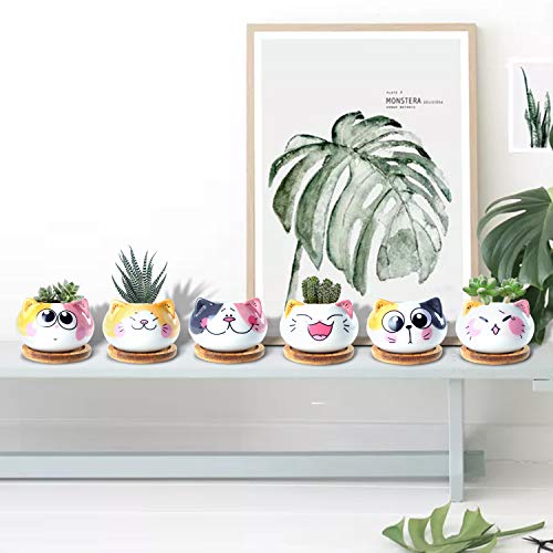 YINUOWEI Succulent Pots with Drainage 3.6 Inch Mini Cat Pots for Plants Tiny Animal Planter Small Ceramic Air Plant Flower Pots Cactus Faux Planters Containers with Bamboo Tray