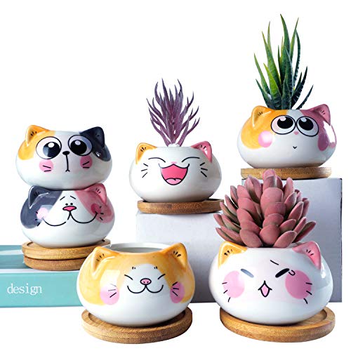 YINUOWEI Succulent Pots with Drainage 3.6 Inch Mini Cat Pots for Plants Tiny Animal Planter Small Ceramic Air Plant Flower Pots Cactus Faux Planters Containers with Bamboo Tray