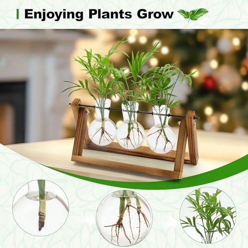 Plant Propagation Station with Wooden Stand,Plant Decor Birthday Gifts for Women,Christmas Planter Gifts for Plant Lovers,Plant Terrarium for Home Office Christmas Decor,Window Sill Decor-3 Bulb Vases