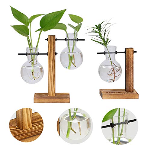 UWIOFF 2 Pack Plant Terrarium with Wooden Stand Air Planter Bulb Glass Vase Propogation Station for Hydroponics Plants Home Garden Office Decoration (3 Bulb Vase)