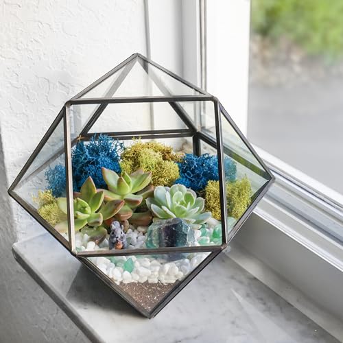 7” DIY Succulent Terrarium Kit with Live Plants, Decorative Rocks, Moss & Healing Crystals, Figurine, Terrarium Tools, Geometric Glass Terrarium Decor