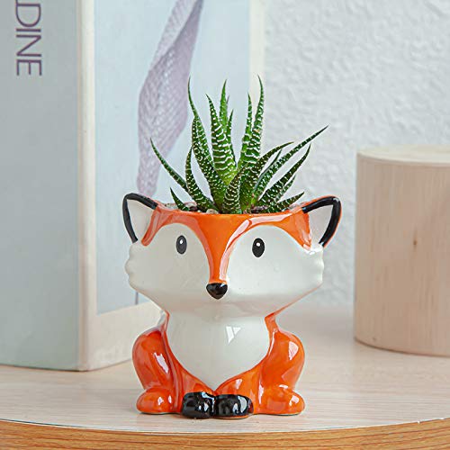 Gaolinci Mini Cute Ceramic Animal Flower Pot Succulent Plant Pot