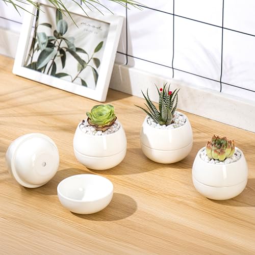 Willowy 3.5 Inch Small Succulent Pots - 3pk, Mini Succulent Pots, Ceramic Succulent Pots, Mini Ceramic Pots, White Succulent Pots, Small White Pots for Plants