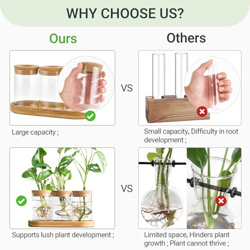 Dahey Plant Propagation Terrarium Desktop Glass Planter Station Water Planting Glass Vase with Lid and Wooden Stand for Propagating Hydroponic Plants Centerpiece Office Home Garden Decor, 3 Pcs